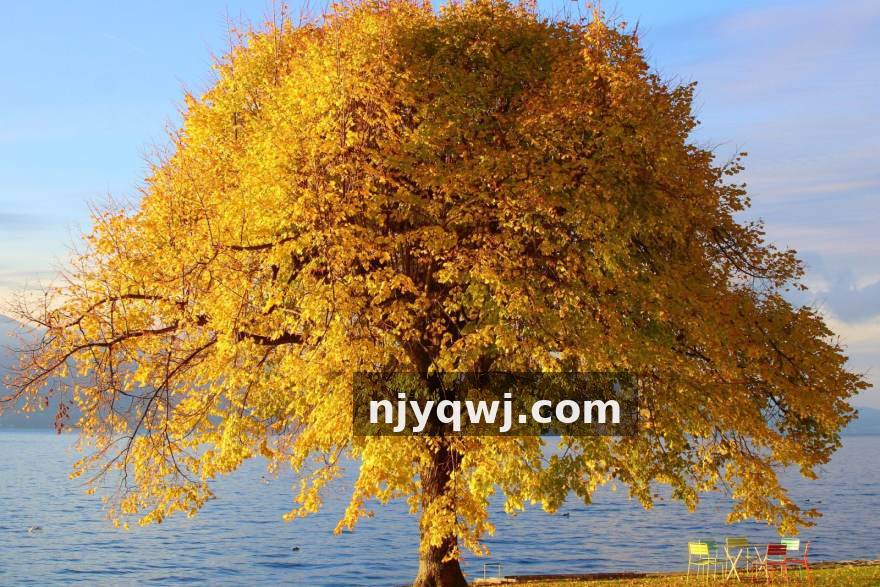 江南 数据管理员林晓的两次返工：权限分配怎样影响报表交付节奏